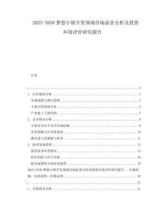 2025-2030夢想小鎮(zhèn)開發(fā)領域市場前景分析及投資環(huán)境評價研究報告