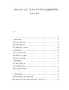 2025-2030天然气市场供需平衡研究及投资路径规划探讨报告