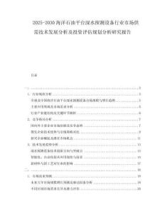 2025-2030海洋石油平台深水探测设备行业市场供需技术发展分析及投资评估规划分析研究报告
