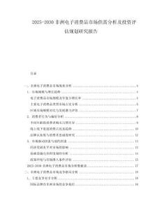2025-2030非洲電子消費品市場供需分析及投資評估規(guī)劃研究報告