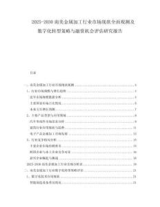 2025-2030南美金屬加工行業市場現狀全面觀測及數字化轉型策略與融資機會評估研究報告