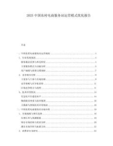 2025中国农村电商服务站运营模式优化报告