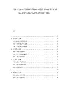 2025-2030毛線編織品行業市場需求創意設計產品特色投資分析評估規劃發展研究報告