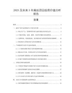 2025及未來5年扁絲項(xiàng)目投資價(jià)值分析報(bào)告