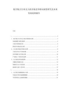 航空航天行業(yè)無(wú)人機(jī)市場(chǎng)競(jìng)爭(zhēng)格局深度研究及未來(lái)發(fā)展趨勢(shì)報(bào)告