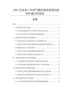 2025及未來5年排氣管托架軟墊項目投資價值分析報告