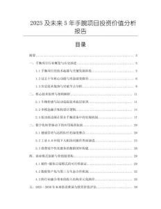 2025及未来5年手腕项目投资价值分析报告