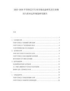 2025-2030半導體芯片行業(yè)市場動態(tài)研究及行業(yè)格局與資本運作規(guī)劃研究報告