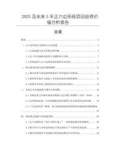 2025及未來5年正六邊形磚項目投資價值分析報告