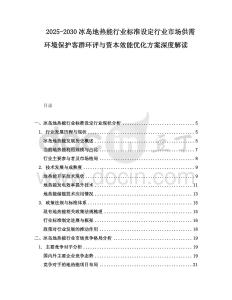 2025-2030冰島地熱能行業標準設定行業市場供需環境保護客群環評與資本效能優化方案深度解讀