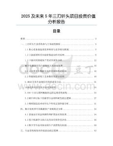 2025及未來5年三刃釬頭項(xiàng)目投資價(jià)值分析報(bào)告