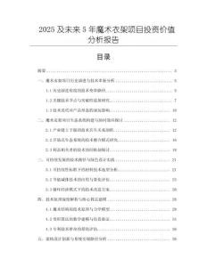 2025及未來5年魔術衣架項目投資價值分析報告