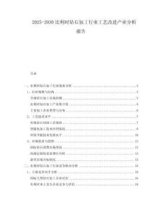 2025-2030比利時(shí)鉆石加工行業(yè)工藝改進(jìn)產(chǎn)業(yè)分析報(bào)告