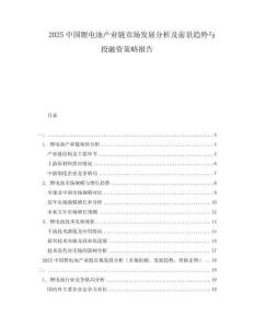 2025中國(guó)鋰電池產(chǎn)業(yè)鏈?zhǔn)袌?chǎng)發(fā)展分析及前景趨勢(shì)與投融資策略報(bào)告