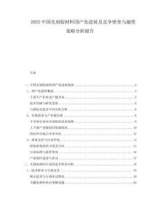 2025中国光刻胶材料国产化进展及竞争壁垒与融资策略分析报告