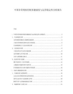 中國非營利組織財務健康度與運營穩(wěn)定性分析報告