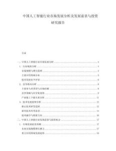 中國人工智能行業(yè)市場發(fā)展分析及發(fā)展前景與投資研究報告