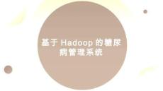 python基于Hadoop的數字化糖尿病患者管理分析系統-答辯PPTT