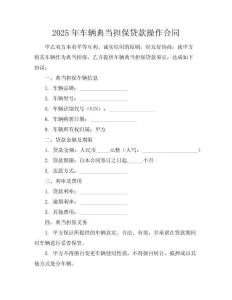 2025年车辆典当担保贷款操作合同