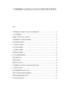 中国碳捕集与封存技术示范项目投资回报分析报告