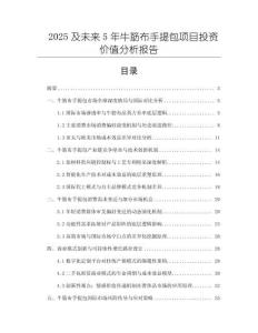2025及未來5年牛筋布手提包項(xiàng)目投資價(jià)值分析報(bào)告