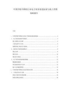 中國浮船升降機行業(yè)電子商務(wù)渠道拓展與線上營銷策略報告