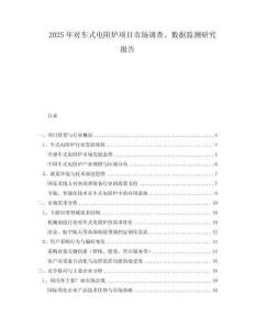 2025年對車式電阻爐項目市場調查、數(shù)據(jù)監(jiān)測研究報告