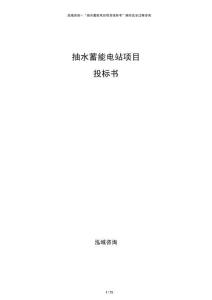 抽水蓄能电站项目投标书