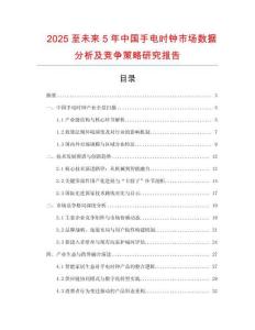 2025至未來5年中國手電時鐘市場數據分析及競爭策略研究報告