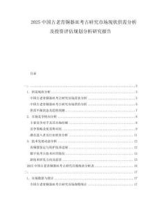 2025中國古老青銅器皿考古研究市場現(xiàn)狀供需分析及投資評估規(guī)劃分析研究報告