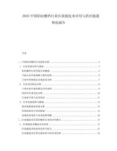 2025中國鋁硅酸鈣行業區塊鏈技術應用與供應鏈透明化報告
