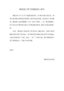 隧道進(jìn)口掌子面掘進(jìn)復(fù)工報(bào)告