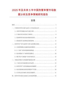 2025年及未來5年中國熱管單管市場數據分析及競爭策略研究報告
