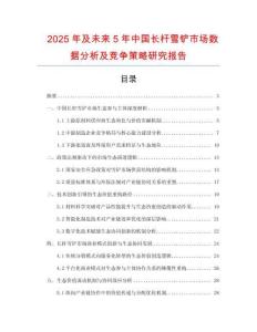 2025年及未來5年中國長桿雪鏟市場數據分析及競爭策略研究報告