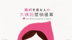 2022年大姨妈营销通案