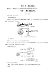 第6單元　第28講　基因的表達