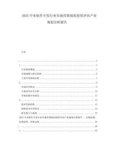 2025中亚软件开发行业市场营销现状投资评估产业规划分析报告