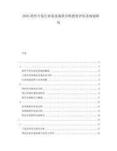 2025软件开发行业需求现状分析投资评估及规划研究