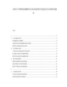 2025中國鋁硅酸鈣行業(yè)水處理應(yīng)用技術(shù)專項研究報告