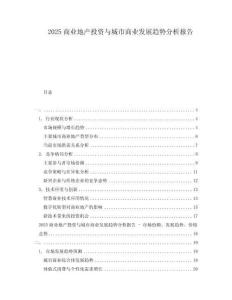 2025商業(yè)地產(chǎn)投資與城市商業(yè)發(fā)展趨勢分析報告