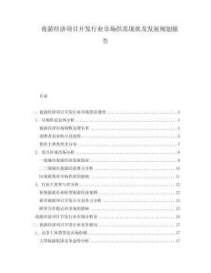 夜游經(jīng)濟項目開發(fā)行業(yè)市場供需現(xiàn)狀及發(fā)展規(guī)劃報告