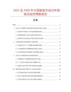 2025至2030年中國腳墊市場分析預(yù)測及投資策略報(bào)告