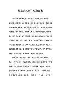 像苦菜花那樣燦爛搖曳