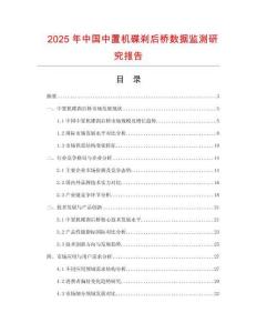 2025年中国中置机碟刹后桥数据监测研究报告