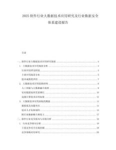 2025软件行业大数据技术应用研究及行业数据安全体系建设报告