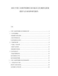 2025中国工业软件检测行业市场全方位调研及质量把控与行业效率研究报告