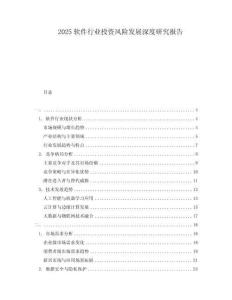 2025软件行业投资风险发展深度研究报告