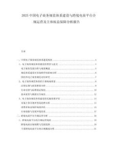 2025中国电子商务规范体系建设与跨境电商平台合规运营及主体权益保障分析报告