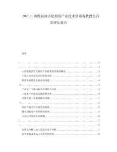 2025山西煤炭清潔化利用產(chǎn)業(yè)技術(shù)供需現(xiàn)狀投資前景評(píng)估報(bào)告