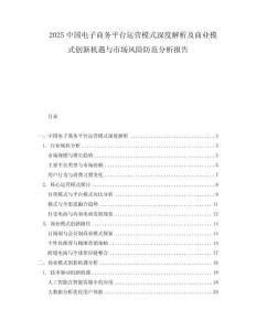 2025中国电子商务平台运营模式深度解析及商业模式创新机遇与市场风险防范分析报告